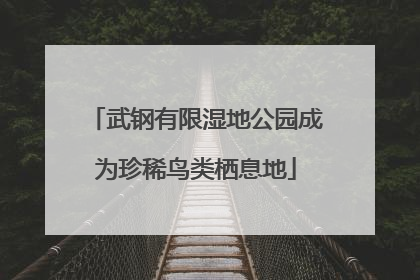 武钢有限湿地公园成为珍稀鸟类栖息地